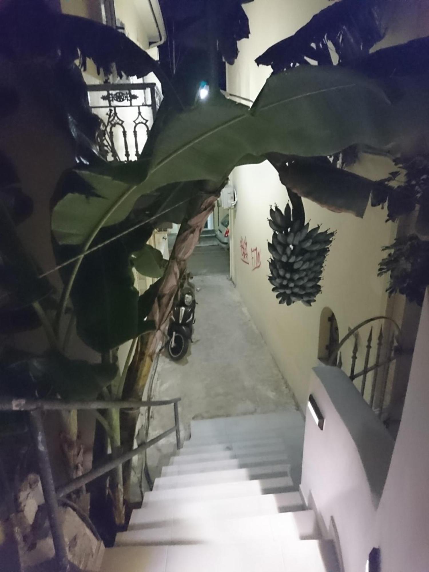 Apartment Le Sorelle - Ground Floor *